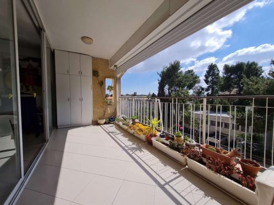 אלרואי דוד 3 (קטמון הישנה)