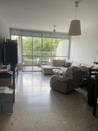 דוד שמעוני 2, הירוקה המרכזית