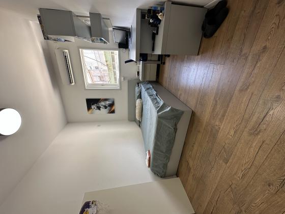 הרצוג, מרכז העיר