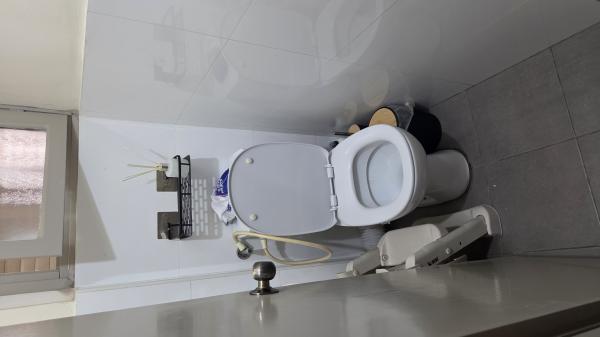 יצחק הלוי 21, גרין ועם