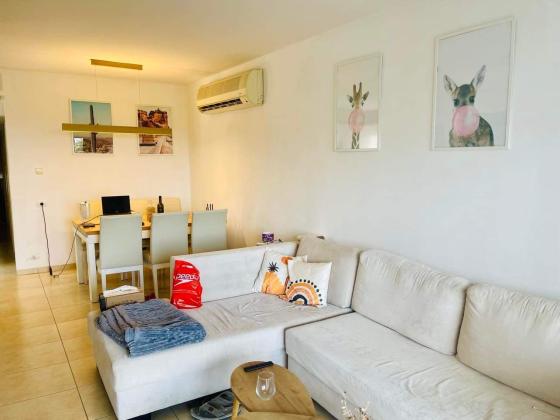 שלון 11, סביוני דניה