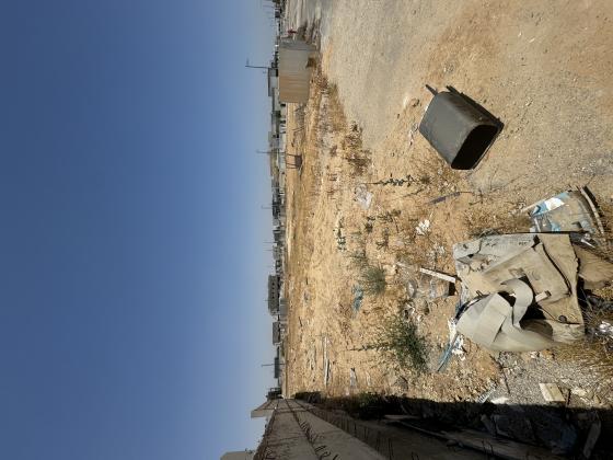 אופקים 1, הארזים