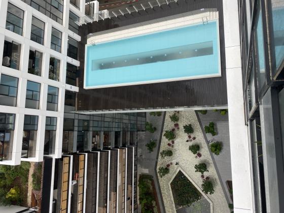 דה וינצ'י לאונרדו, שרונה