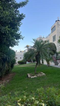 יגאל אלון 8 (רמות)