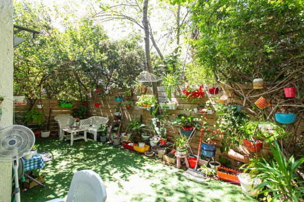 יערות, גבעת דאונס