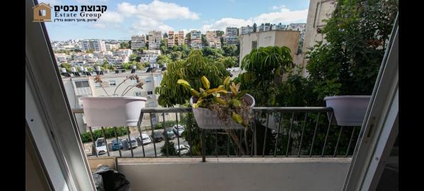 האסיף, מרכז הכרמל