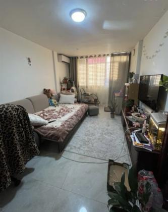 אפרים צור, שקמים