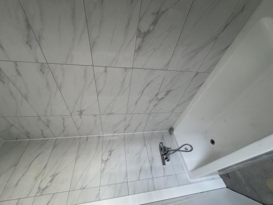 המרווה 5, סיגליות