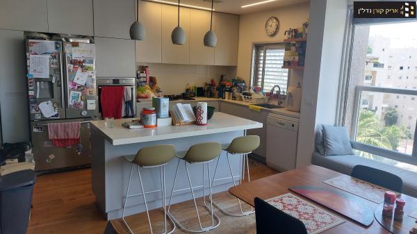 בורלא, תוכנית ל