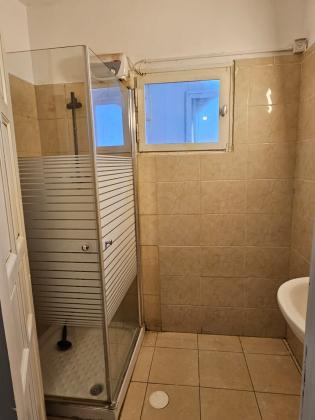 לייש 401, גילה