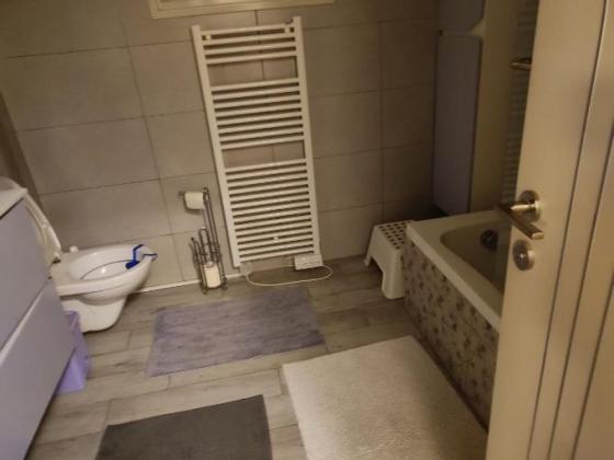 מצדות יהודה 1