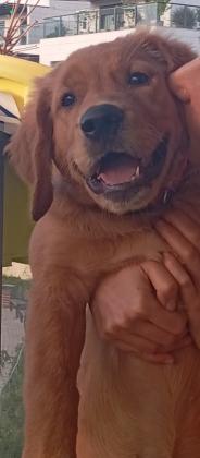 אך ורק למשפחה טובה ועל רמה