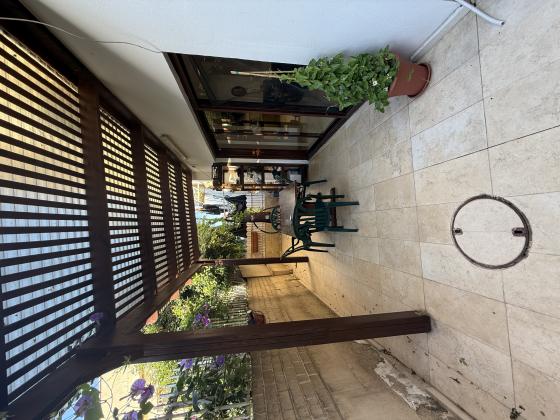 אחד העם, בן גוריון