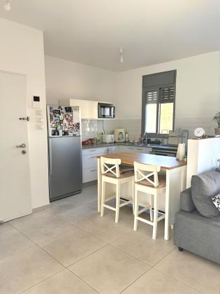 שביט 1, כוכב הצפון