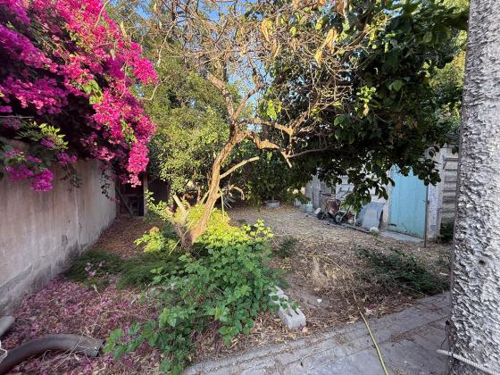 בשכונת הרצליה פיתוח