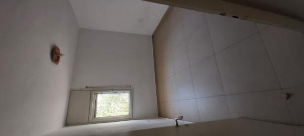 אריה בעהם 4, פת