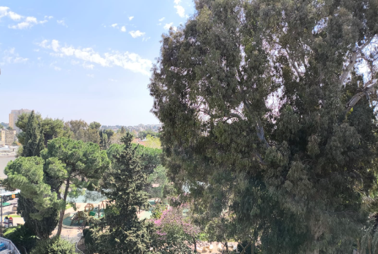 בשכונת קטמון הישנה