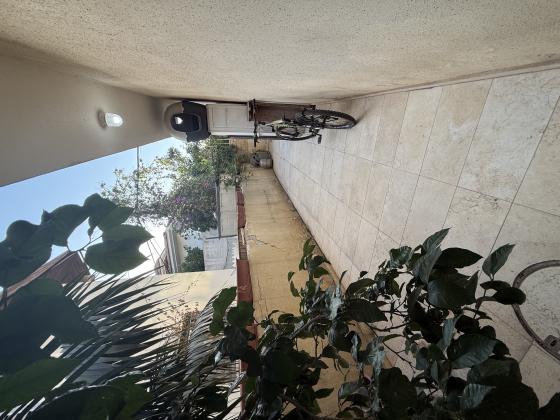 אחד העם, בן גוריון