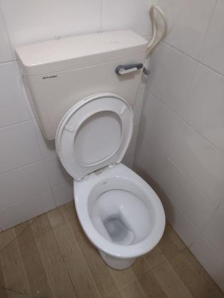 סירקין 1 (הדר הכרמל)