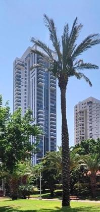 יצחק שדה 8, מתחם גן העיר