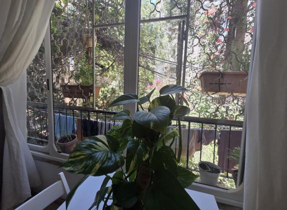 אבן גבירול, הצפון החדש החלק הצפוני