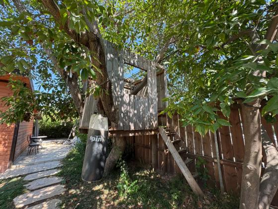 השלום 1, הפרחים