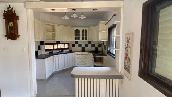 הנרקיס 8, גבעת עדן