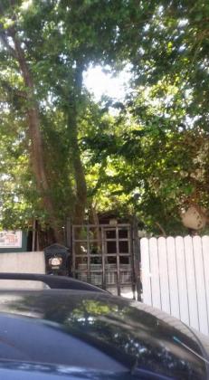 קהילת ורשה, הדר יוסף