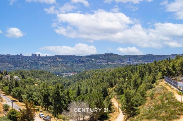 שקד, נופי החורש