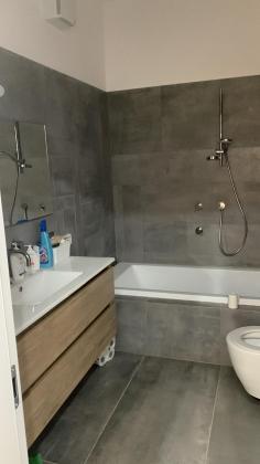 גרונימן, רמת אביב