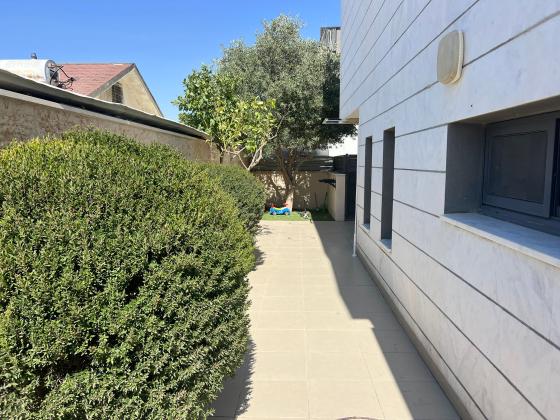 אלישע, שפירא