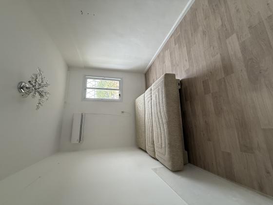 ביאליק, בן גוריון