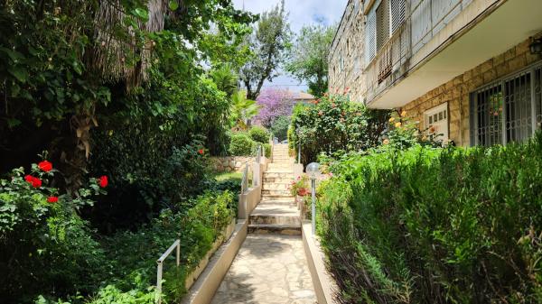 בית הכרם 9, בית הכרם