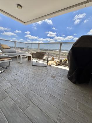 הפלמ"ח 133, קדימה