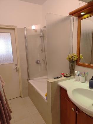 בני בנימין 23, הירוקה המרכזית