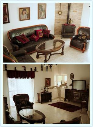 השיקמה 2, נווה דוד