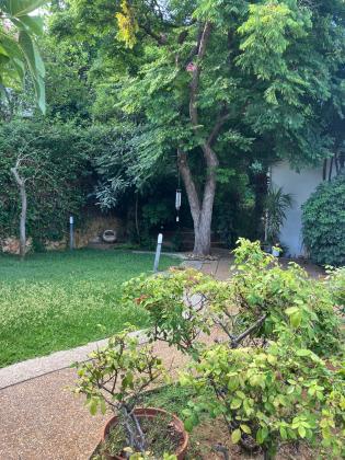 בשכונת דניה