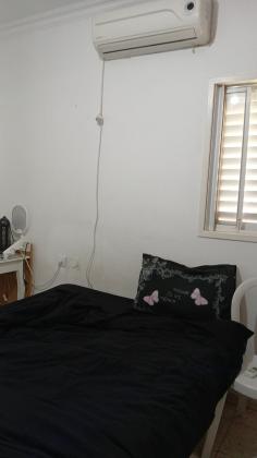 דוד אלעזר 79, ח-500