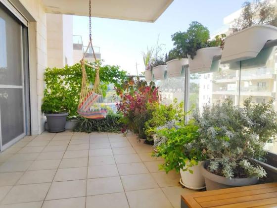 גבע 17, חלומות