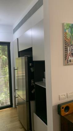 גרונימן, רמת אביב