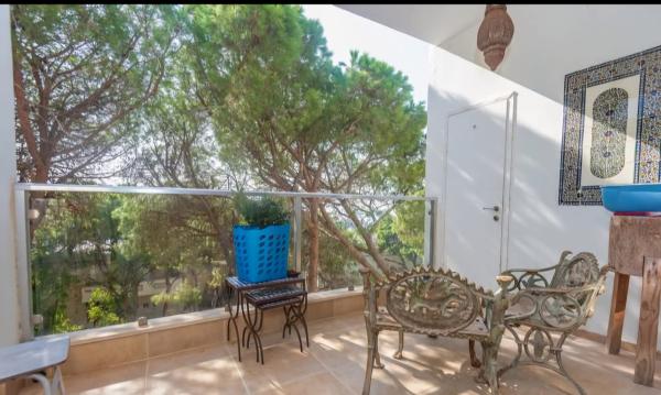 תשבי 49, כרמל צפוני