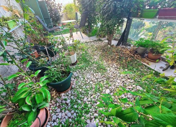 הרופא, אחוזה