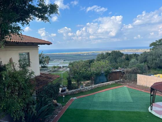 הנרקיס 8, גבעת עדן