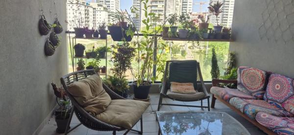 בשכונת פסגות אפק