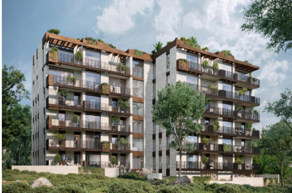 בשכונת קטמון הישנה