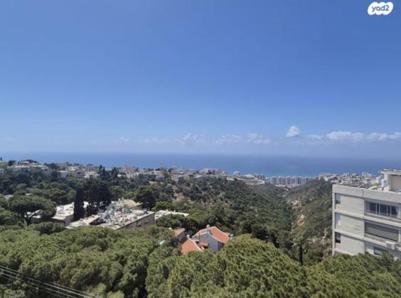 שדרות הצבי 38, כרמל ותיק