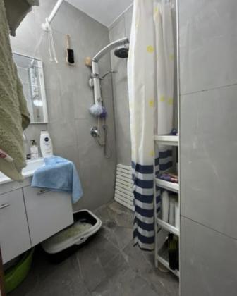 אפרים צור, שקמים