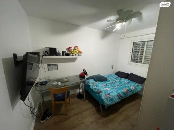 איילת הכרמל 1