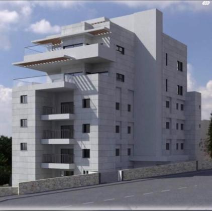 אלכסנדר ינאי 50, כרמליה