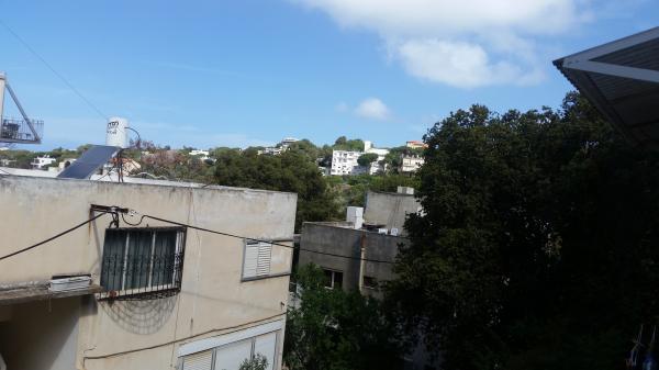 שושנת הכרמל 1, כרמל ותיק